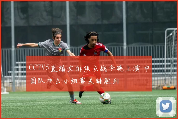 CCTV5直播女排焦点战今晚上演 中国队冲击小组赛关键胜利
